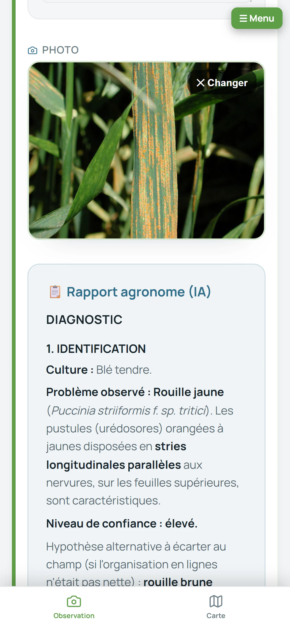 Diagnostic d’une photo prise au champ