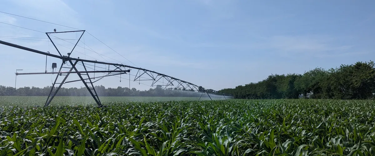 Un pivot d’irrigation au-dessus d’un champ de maïs