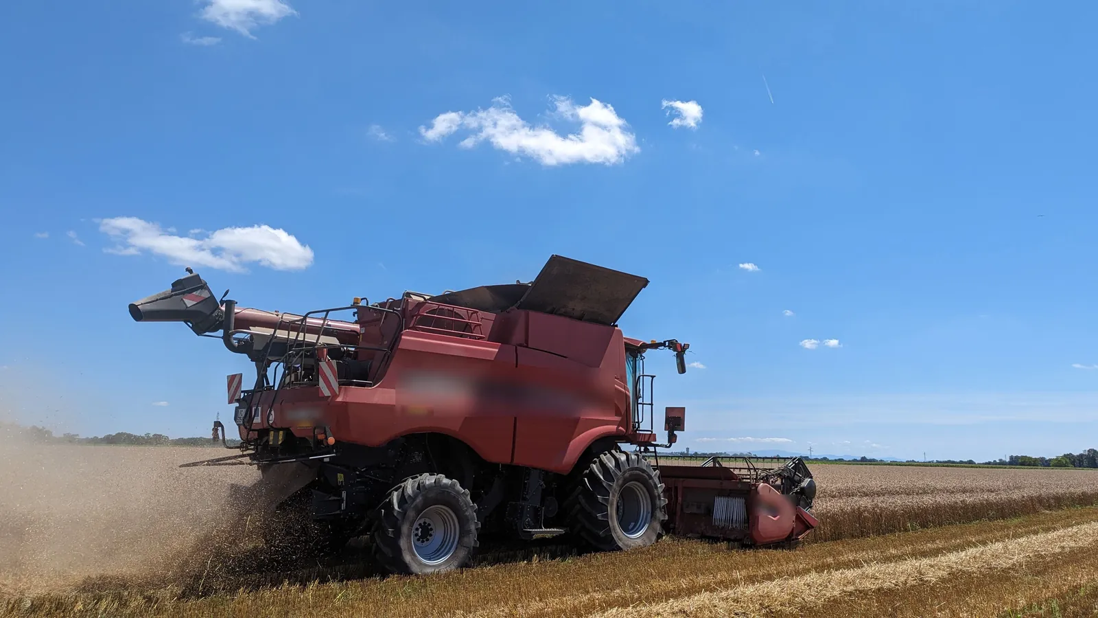Une moissonneuse-batteuse au travail dans un champ de blé